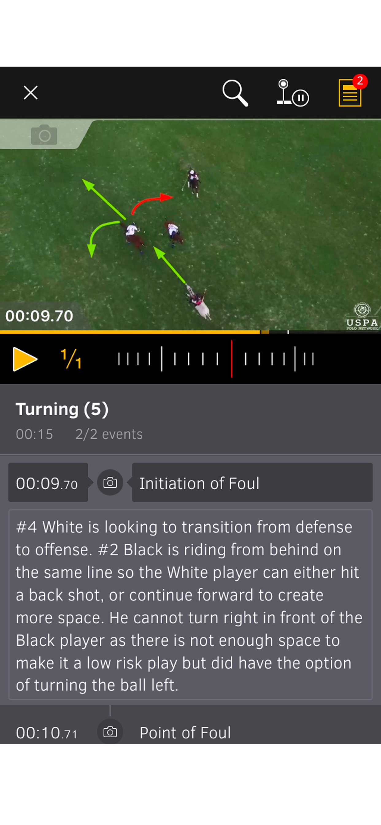 Polo Umpire