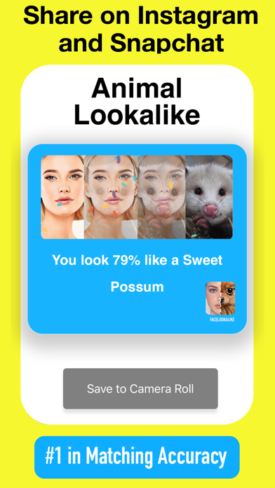 Celebrity Look Alike,Lookalike Screenshot