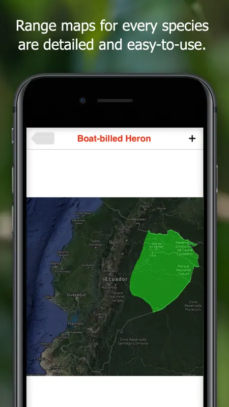 Birds of Ecuador - Field Guide screenshot 7 of 8