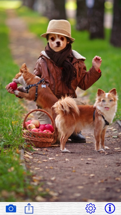 Crazy Face Swap by AlphaPlugin screenshot-0