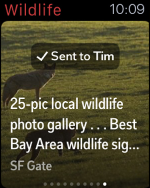 ‎Flipboard: The Social Magazine Screenshot