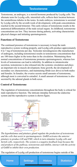 Male Reproduction System(圖4)-速報App