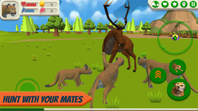 Cougar Simulator: Big Cats Screenshot