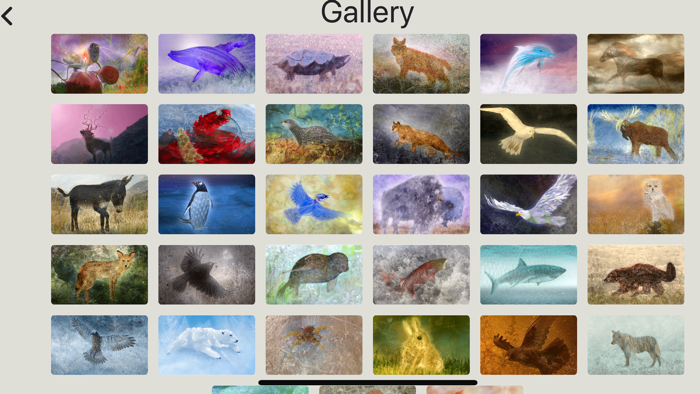 Animal Totems Empowerment Deck