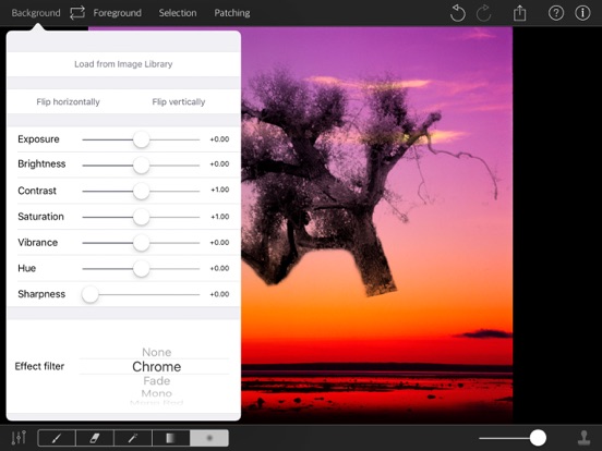 PhotoPatch Pro iPad screenshot 8 - Photo & Video app