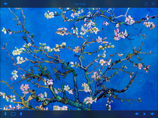 Art Wallpaper Van Gogh HD iPad screenshot 5 - Entertainment app