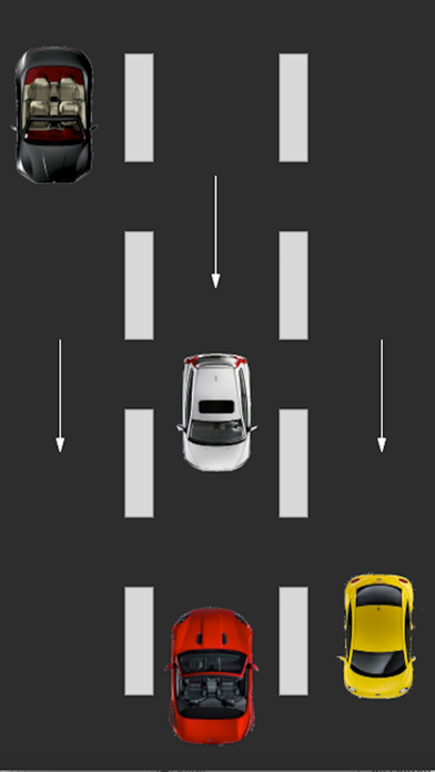 Screenshot #3 pour Crazy Wrong Way Racing
