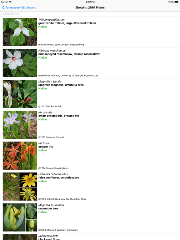 Screenshot #5 pour Tennessee Wildflowers