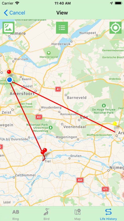 BirdRing screenshot-6