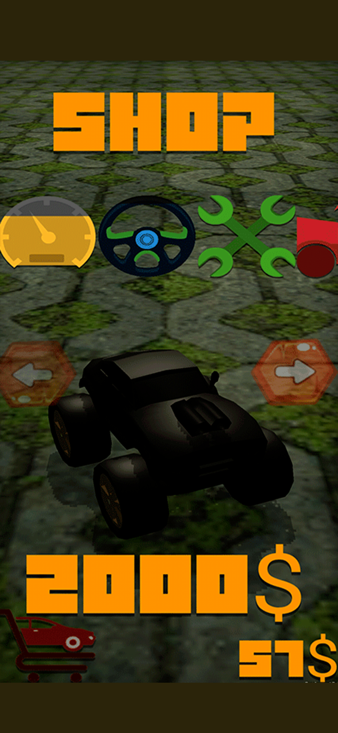 Super Highway Endless Police