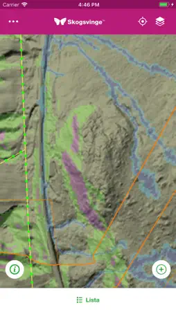 Skogsvinge screenshot 5