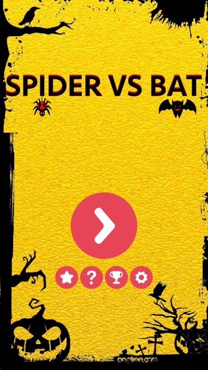 Spider Vs Bat