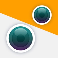 Clichés de 2 caméras à la fois sur PC