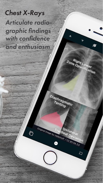 USMLE Clinic screenshot-3