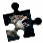 Wolf Lovers Puzzle App Problems