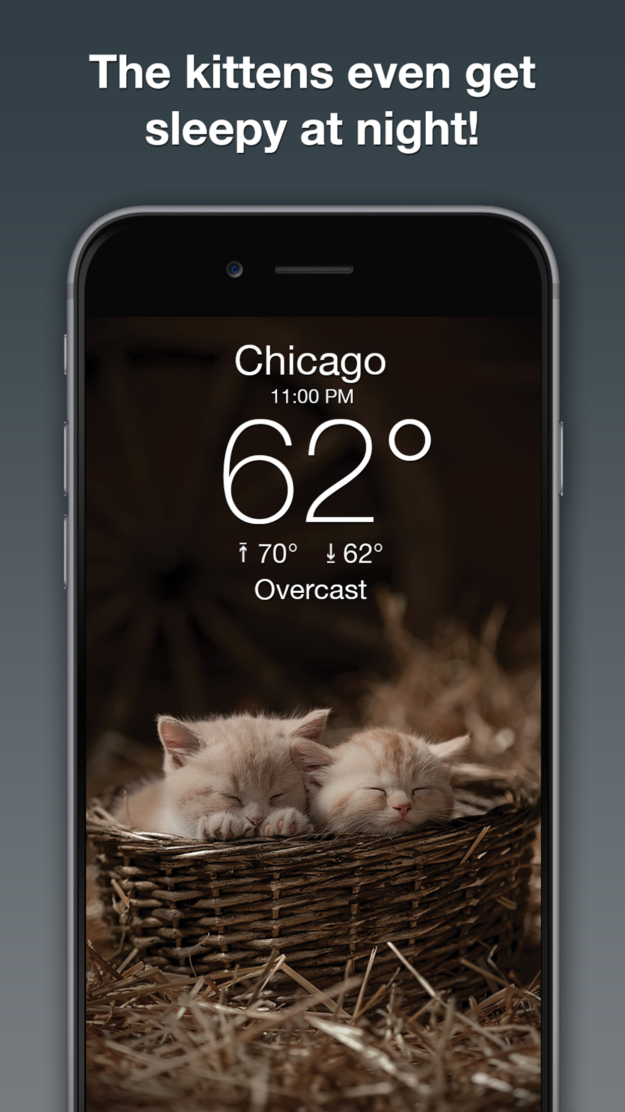 Weather Kitty: Weather + Radar screenshot 4
