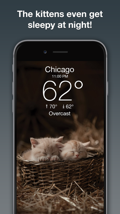 Weather Kitty: Weather + Radarのおすすめ画像4