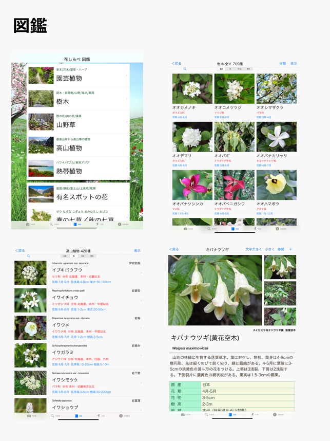 花しらべ 花認識 花検索 On The App Store 花しらべ 花認識 花検索 On The App Store