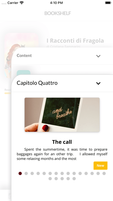 MyChicMirror Screenshot
