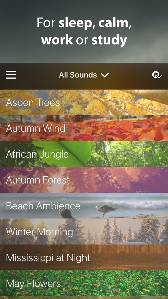 Rain Rain Sleep Sounds