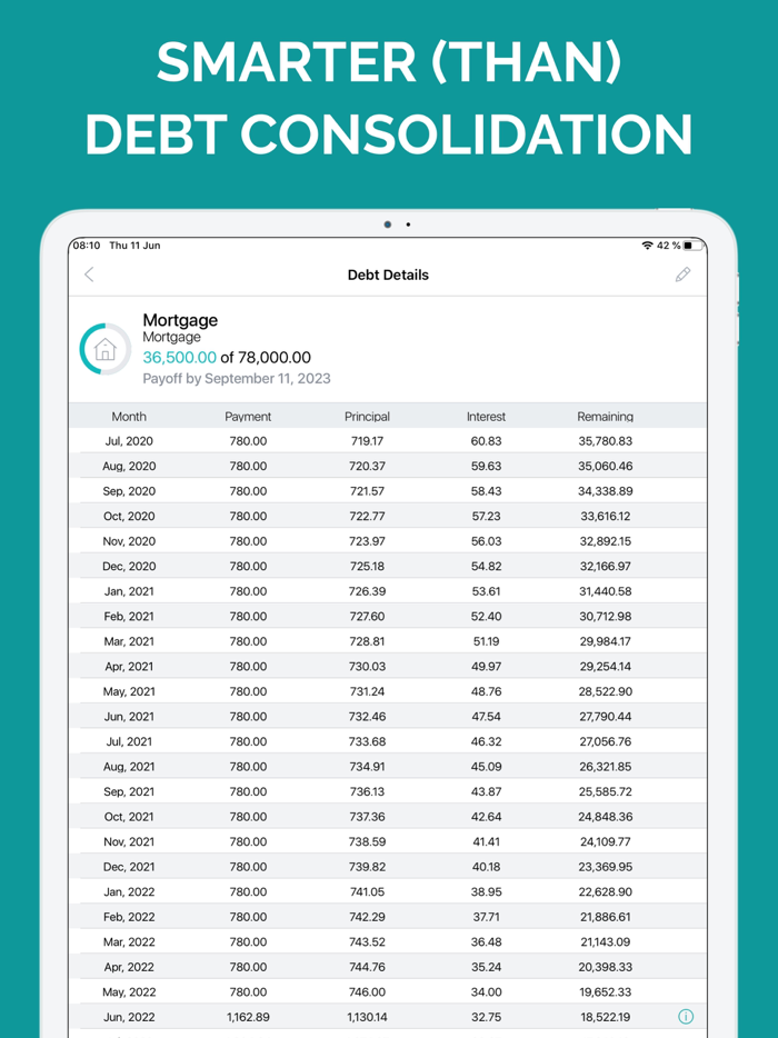 Debt Free Box Snowball Payoff