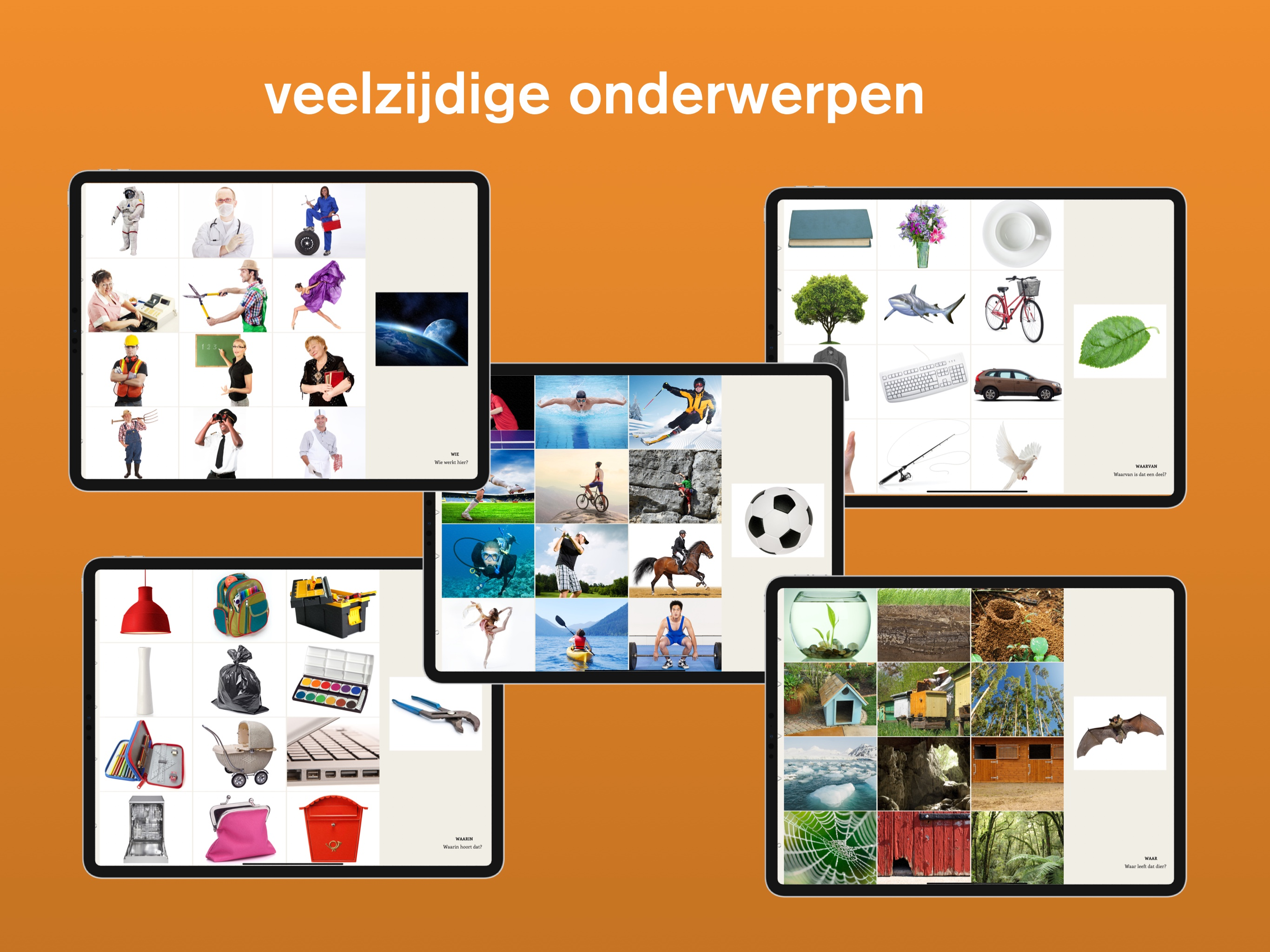 Lexico Vraagbegrip screenshot 5