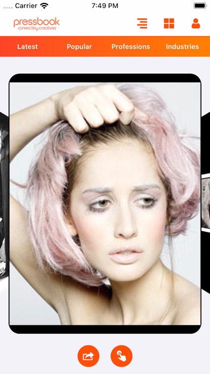 Pressbook