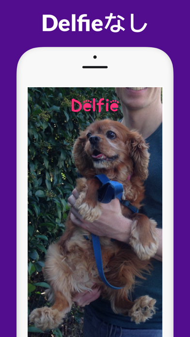 Delfie - 犬の自撮りのおすすめ画像1