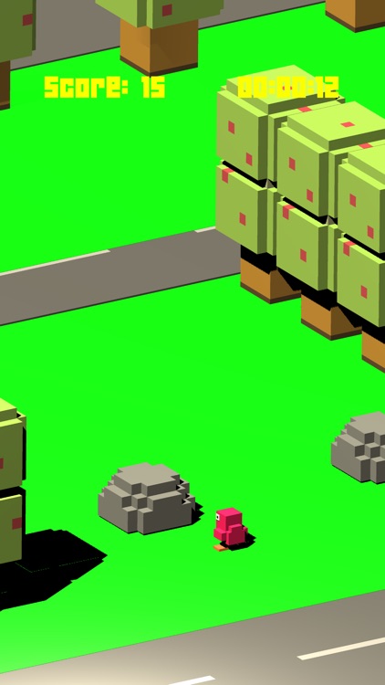 Middle Ground Midway Adventure