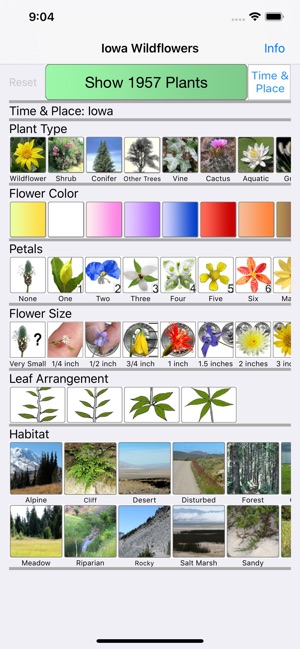 Iowa Wildflowers
