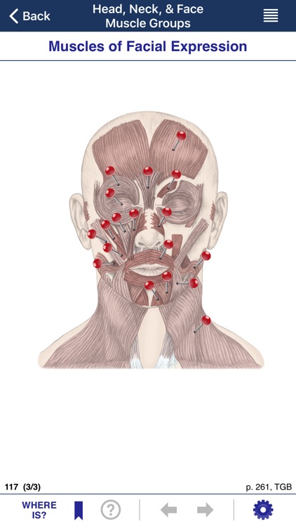 AnatomyMapp Lite screenshot-3