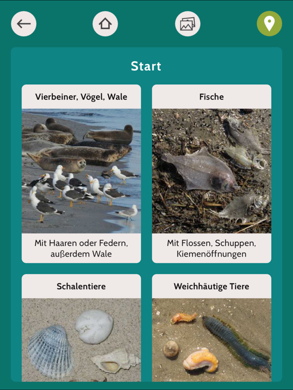 Screenshot #5 pour Baltic Explorer