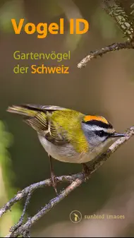 Vogel Id Schweiz iphone bilder 0