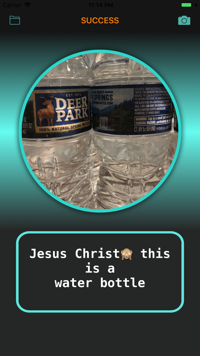 Egyptian Cat - AI EYE