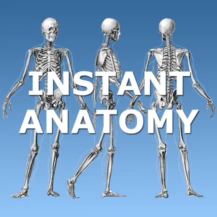 Anatomy Lectures and MCQs Читы