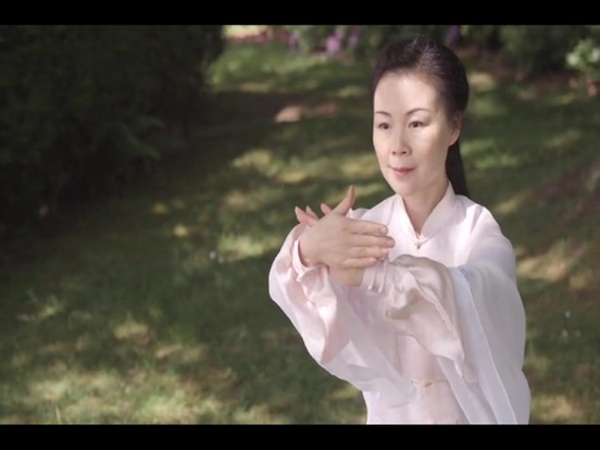 Tai Chi for Beginners 48 Form iPad screenshot