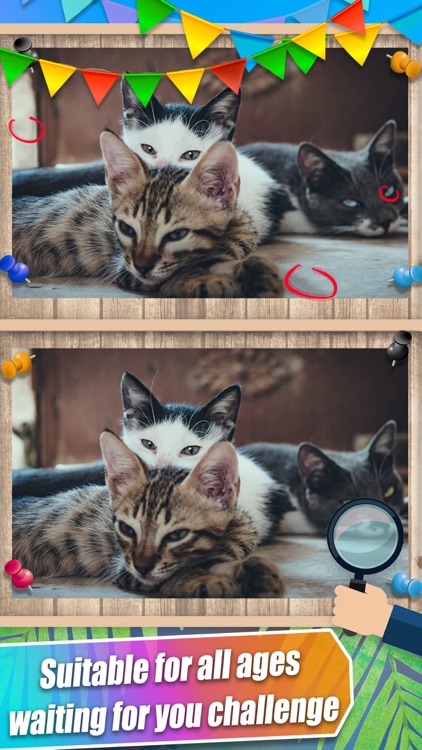 Differences-find 5 differences