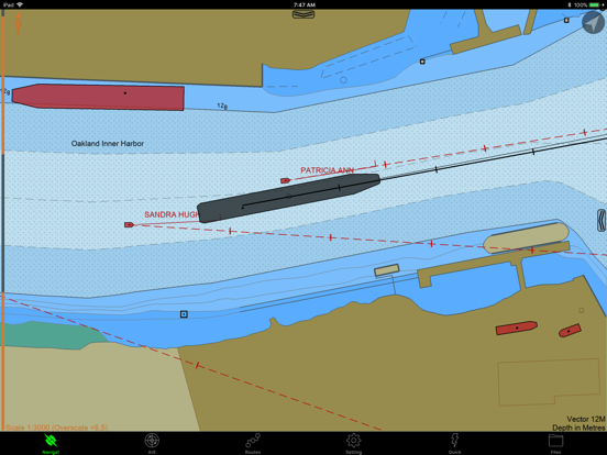 Screenshot #4 pour SEAiq Pilot VPP