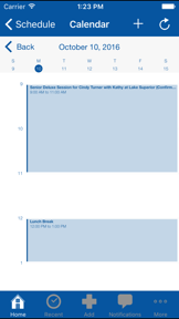 myStratus Business Management screenshot