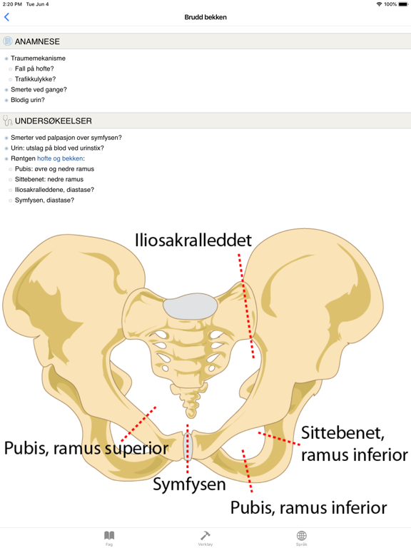 Screenshot #4 pour Skadehåndboka