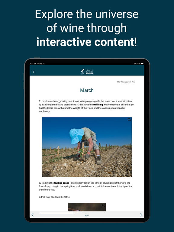 OEnoBordeaux iPad screenshot 2 - Education app