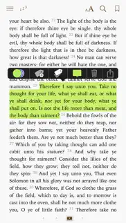 bible - the holy bible iphone screenshot 3