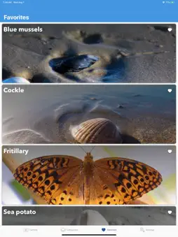 Beach Detector - Your guide screenshot 10