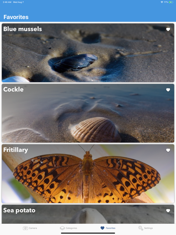 Beach Detector - Your guide iPad screenshot