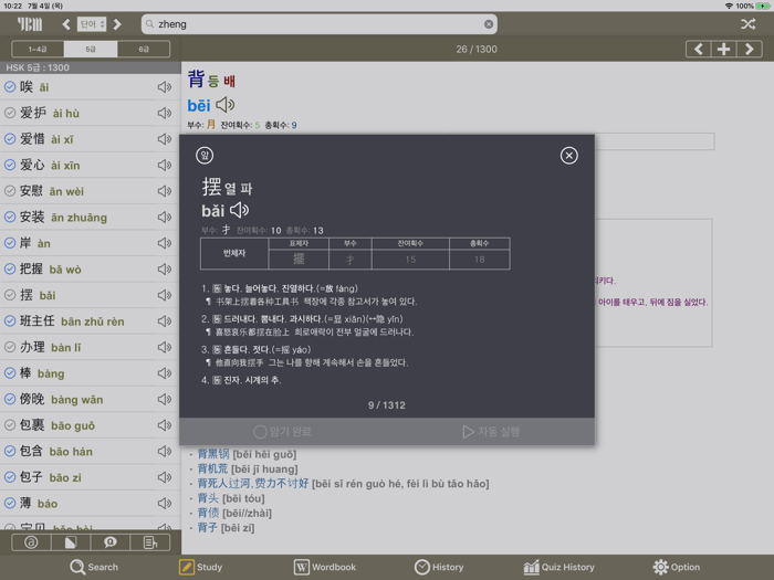 YBM 올인올 중한중 사전 - ChKoCh DIC