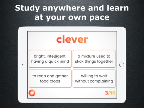 3rd Grade Vocabulary Challenge - náhled