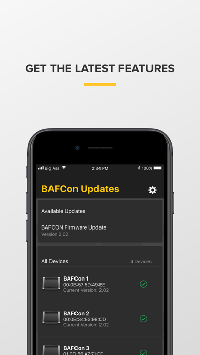BAFCon Updates screenshot 4
