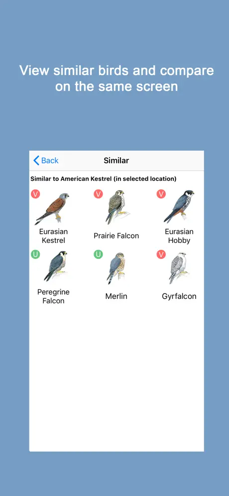 Sibley Birds 2nd Edition