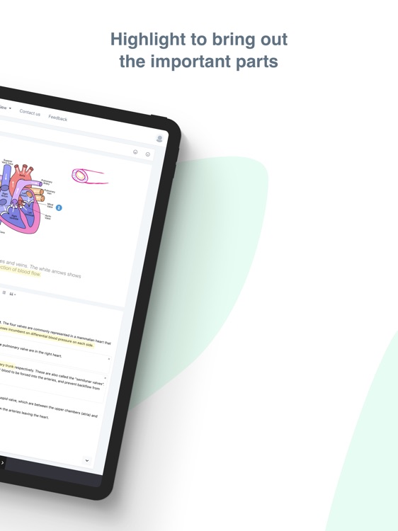 Amanote - Note-Taking on PDF