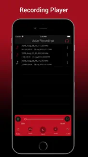 voice recorder hd pro iphone screenshot 4